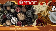 Obat Herbal Tiongkok untuk Sembelit