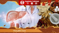 Penyakit Liver: Penyebab, Gejala, dan Cara Pengobatannya